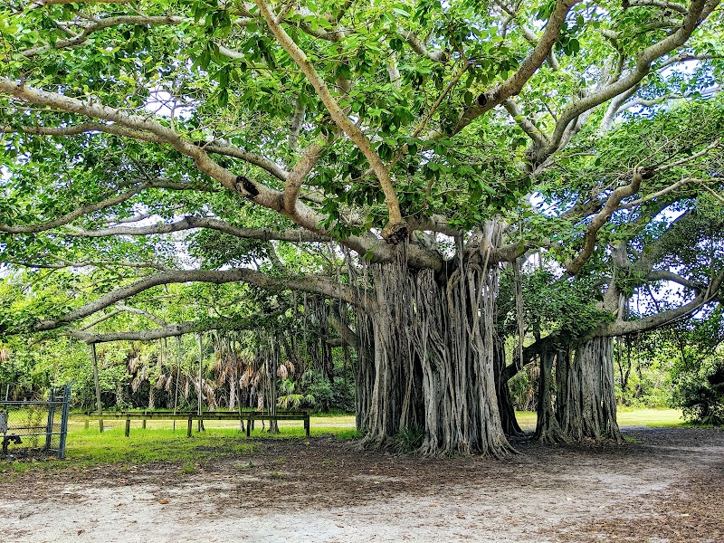 Hugh Taylor Birch State Park, Fort Lauderdale